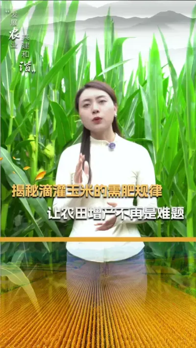 ���صι�������ʼ�������ũ����������������#��ũ #����ݪֲ #����ݪֲ���� #�������� #������ũ��