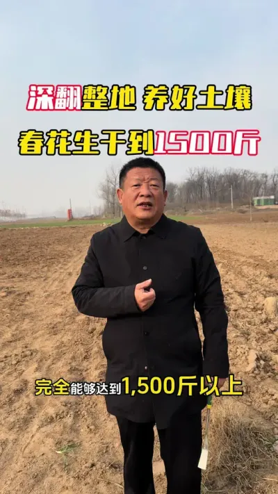 ��ެ������������������������Ŀ��1500��#ë��������߲����� #����#�����߲�#����ݪֲ#��������