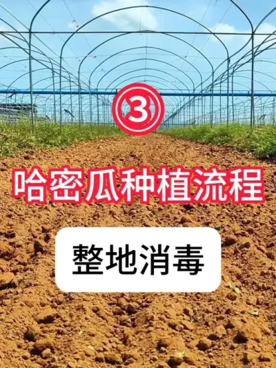 ݪֲܹɱ ܹ̼ƻ#ܹݪֲ  #ݪֲ  # #  #ũ֧ũ