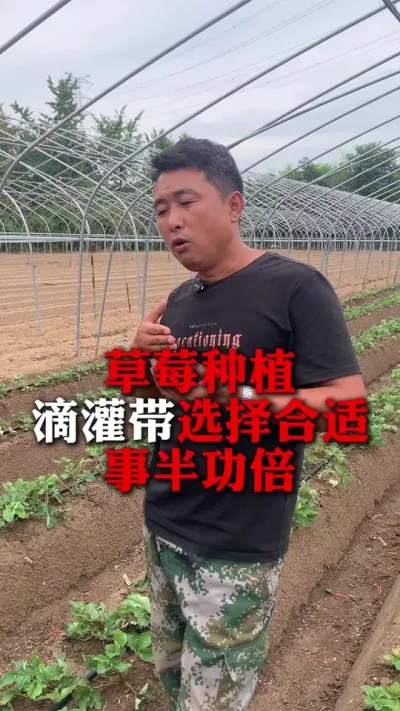 ιѡ°빦#ݮݪֲ #ݮ #ݮݪֲ #ũҵ֪ʶũ #ũ