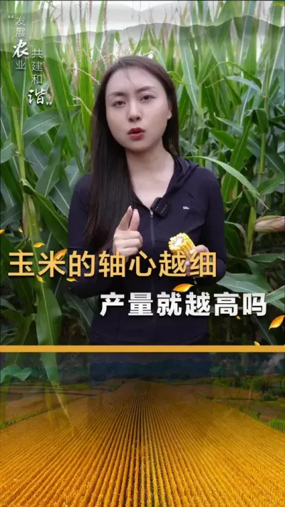 ���׵�����Խϸ��������Խ������#��ũ #����ݪֲ #����ݪֲ���� #�������� #������ũ��