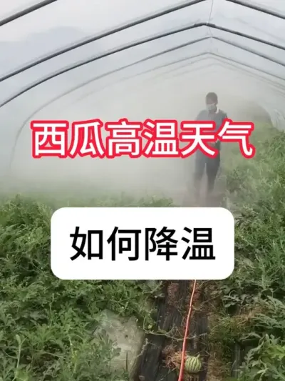 Ͻ ݪֲƻ#ũ #ũ # #Ƹ #ղӲԭ