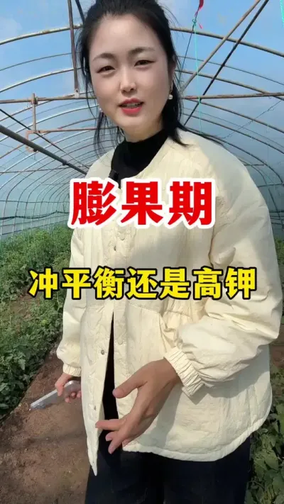 ھƽվɸ߼ط #ݪֲ#ݪֲ