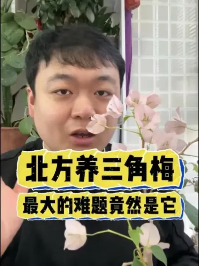 �ڱ���������÷���������⾹Ȼ������ #����С֪ʶ #���� #������ֲ #���� #����