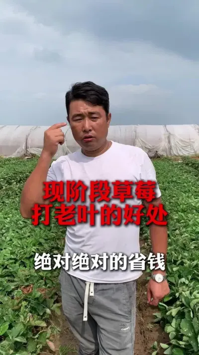 ���Ծ��Ե�ʡǮ#��ݮݪֲ #��ݮݪֲ���� #��ݮ���� #��ũ������ #��ũ