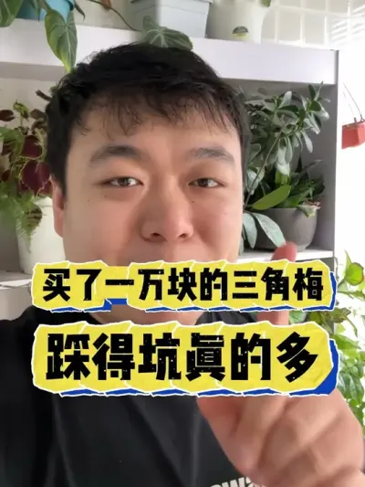 ����һ���Ǯ������÷��֪���Ŀ��� #���� #����С֪ʶ #���� #������ֲ #����÷