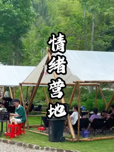 ����Ӫ��#�������� #������� #�ܶ����� #Ӫ������