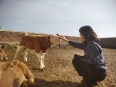 ����Ϊ�������� �����β�����������������æ�ﲻ�����뻤���˻��������Լ�һ��Īչ����һ������������������ȱ��&hellip;.