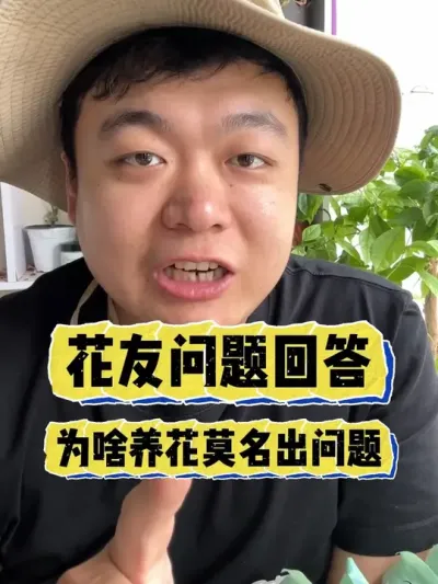 �����ʻظ�ϵ����Ϊɶ�������Ļ�Ī������ľͳ������� #���� #����С֪ʶ #���� #������ֲ #����