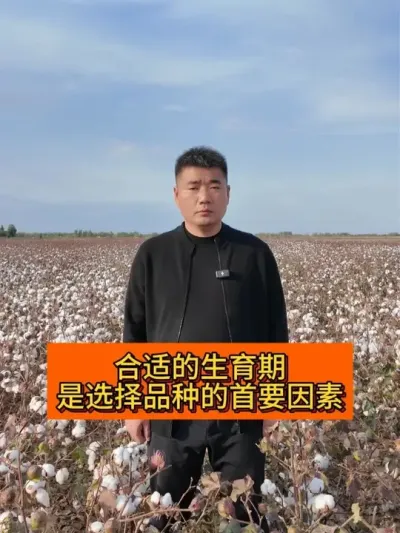 ���ʵ������� ��ѡ��Ʒ�ֵ���Ҫ���� #��ũ������2025#ݪֲС���� #ũ���� #������ũ֧����ũ #�޻�