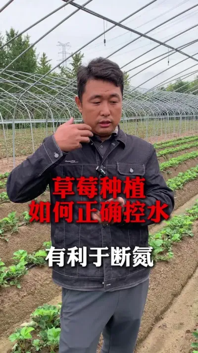 ׼ȷˮ#ݮݪֲ #ݮ #ݮݪֲ #ũҵ֪ʶũ #ũ