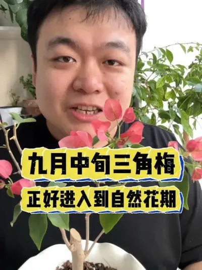 ������Ѯ����÷�����ý��뵽��Ȼ����������һ���������� #���� #����С֪ʶ #���� #������ֲ #����