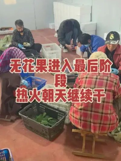 ͬ�������������޻���������û��������������Ҳ������#�����޻���ݪֲרҵ������ #�޻�������