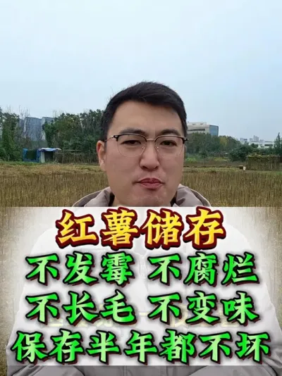 ������������ #����ݪֲ #�������� #�������� #��������Ҫ�� #������������