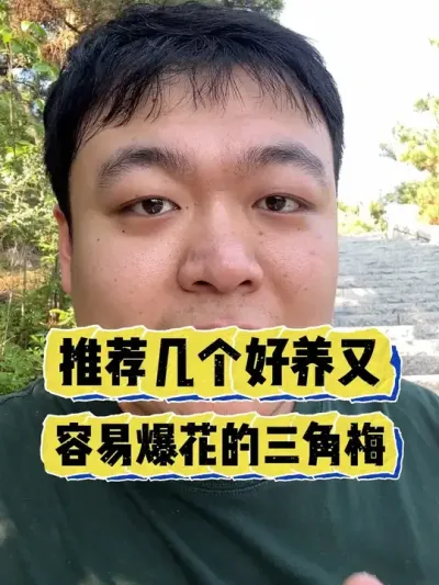 Ӧ����Ҫ�����Ƽ������������ƻ����ױ���������÷Ʒ���� #���� #����С֪ʶ #���� #������ֲ #����÷����