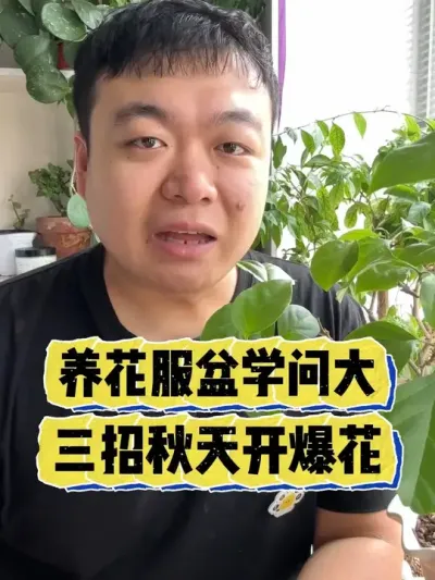 �����»�����ѧ�ʴ��������������쿪������ #���� #����С֪ʶ #���� #������ֲ #����