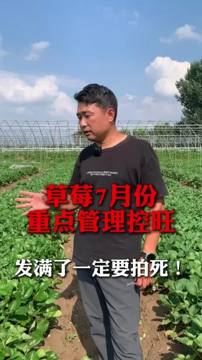 ������һ��Ҫ������#��ݮݪֲ #��ݮݪֲ���� #��ݮ���� #��ũ������ #����ũҵ֪ʶ��ũ����������