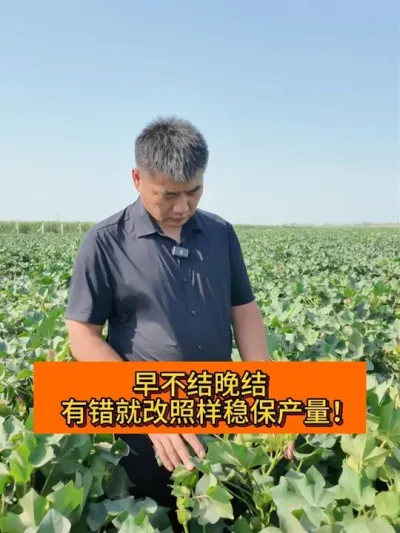 �粻������ #��ũ������2025#ݪֲС���� #��ũݪֲ #֧����ũ������ũ���� #�½��޻�