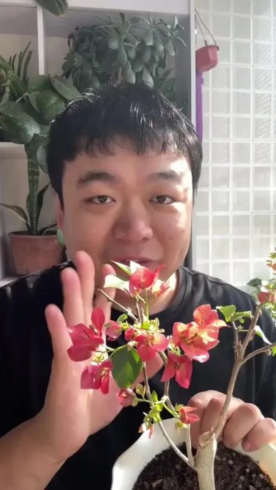 ����÷�տ��껨�����˶��ɷ��ֳ������������� #����С֪ʶ #���� #���� #���� #������ֲ