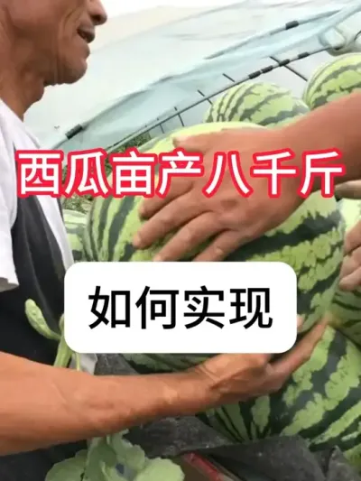 ����Ķ��8000������������Ҫ�� #����ݪֲ #�������� #��ũ #ũ��֪ʶ #������ũ