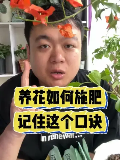 ������������ھ�������� #���� #����С֪ʶ #���� #������ֲ #����