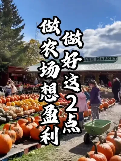 ũ��#��������  #�������  #�ܶ�����  #ũׯ����