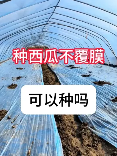 ���ϸ�Ĥ�Ͳ���Ĥ�Ĳ�� #����ݪֲ #��ũ #ũ���ƹ� #ũҵݪֲ