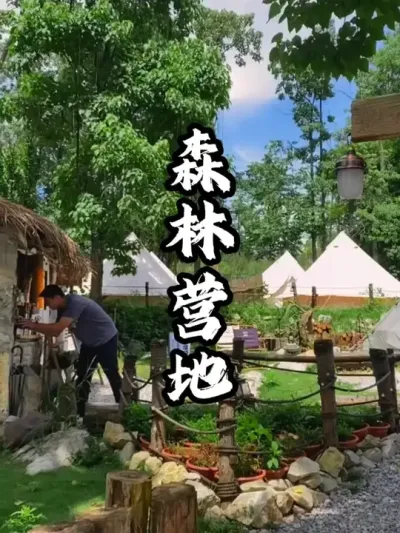 ɭ��Ӫ��#��������  #�滮���  #�ܶ�����  #Ӫ�ع滮