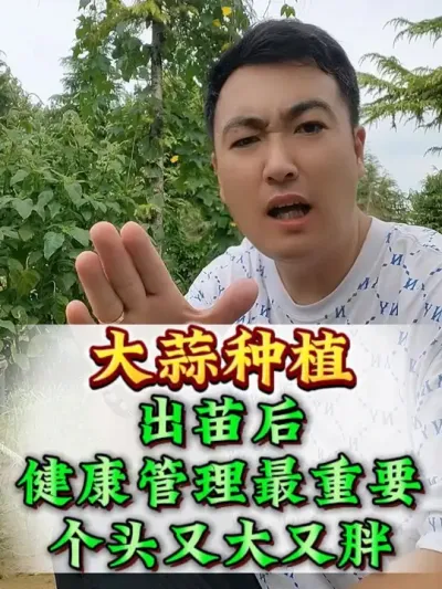 �������󿵽���������Ҫ #����ݪֲ #����߲� #����ݪֲ���� #����߲����������� #����߲�ݪֲ���չ���