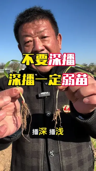 ��Ҫ����һ������#С�� #С��߲�#С��߲�ݪֲ#С��߲�����#ë��������߲�����