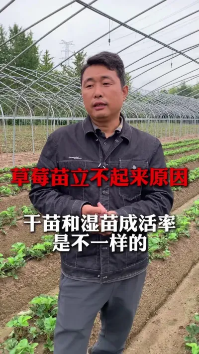 ݮԵԭ#ݮݪֲ #ݮ #ݮݪֲ #ũҵ֪ʶũ #ũ