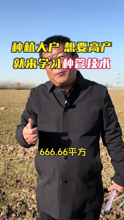 ݪֲ����߲�����ѧϰ�ֹ�����#С��#С��ݪֲ#ݪֲ�� #С��߲�#ë��������߲�����