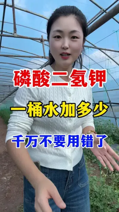 һͰˮüӼô # #ݪֲ