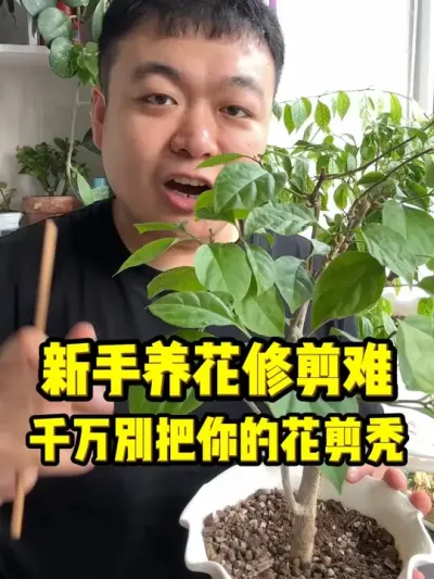 ���������޼����������ѻ�����ͺ������Ȼ��Ƿ������ #���� #����С֪ʶ #���� #������ֲ #����