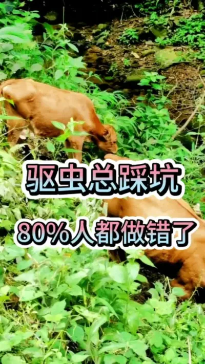 �����ܲȿ����ٷ�֮��ʮ���˶�������#��ţ #��ţ��