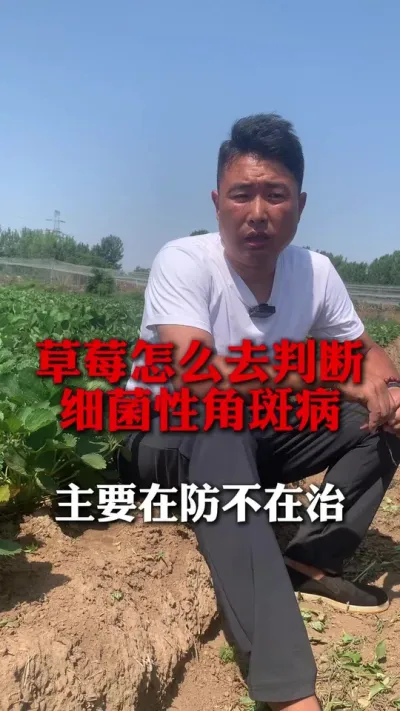 ��Ҫ�ڷ������Σ�#��ݮݪֲ #��ݮ���� #��ݮݪֲ���� #��ũ������ #����ũҵ֪ʶ��ũ����������