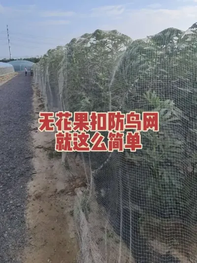 ¶��ݪֲ���������Ʒ�������ĸ�֦��Ӳ���������۷�������ȫ��Ӱ���ժ#�����޻���ݪֲרҵ������ #�������﹢�и��óԵ��޻�����ժ԰ #�޻�������