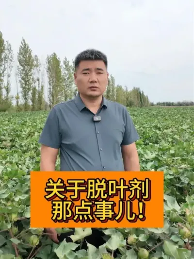 ������Ҷ���ǵ��¶��� #��ũ������2025#ݪֲС���� #��ũݪֲ #������ũ֧����ũ #�½��޻�