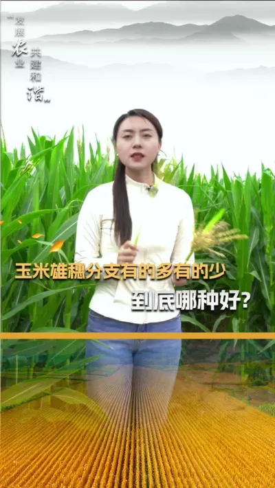 ���������֧�еĶ��е������������ֺ���#��ũ #����ݪֲ #����ݪֲ���� #�������� #������ũ��