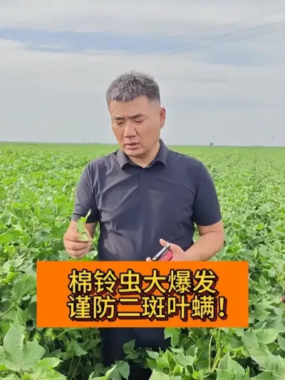 �����󱬷� ��������Ҷ�� #��ũ������2025#ݪֲС���� #��ũݪֲ #������ũ֧����ũ #������ũ