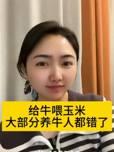 给牛喂玉米，大部分人都做错了#养牛 #养牛人 #农村养牛 #养牛技术 #三农