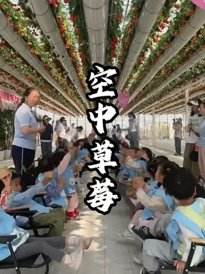 ���в�ݮ#��������  #�������  #�ܶ����� #ũׯ����