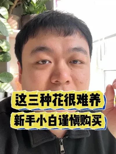 �����ֻ�������������С��Ҫ���������� #���� #����С֪ʶ #���� #������ֲ #����