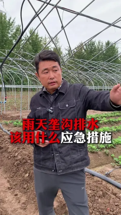 ¢ˮӦ#ݮݪֲ #ݮ #ݮݪֲ #ũҵ֪ʶũ #ũ