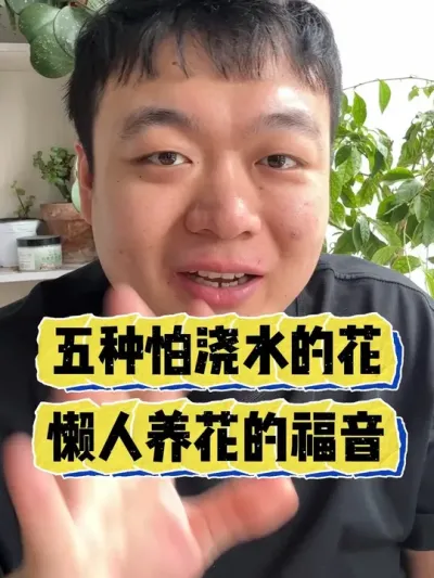 ������������ˮ�Ļ������������ĸ����� #���� #����С֪ʶ#���� #������ֲ #����