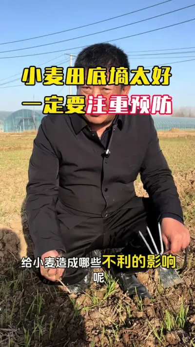 �������̫��һ��Ҫ����Ԥ��#С��#С��߲�#С��ݪֲ#С��������� #ë��������߲�����