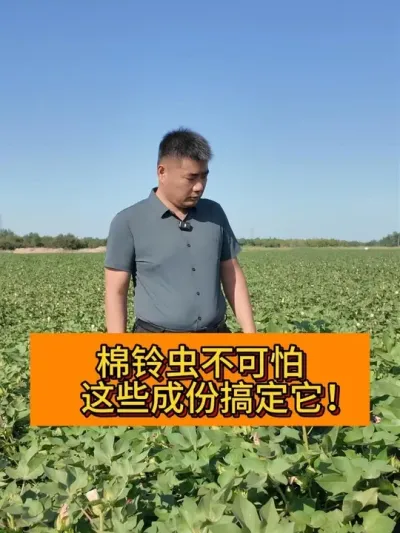 ����治���� ��Щ�ɷݸ㶨���� #��ũ������2025#ݪֲС���� #������ũ֧����ũ #����� #�޻�