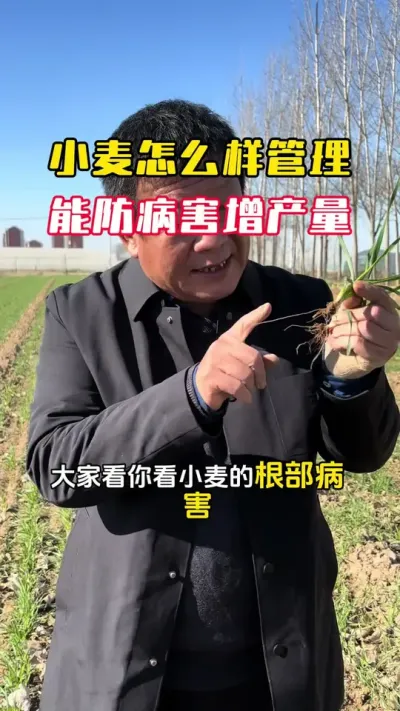 С����ô�������ܷ�����������##С��#С��ݪֲ#ݪֲ�� #С��߲�#ë��������߲�����