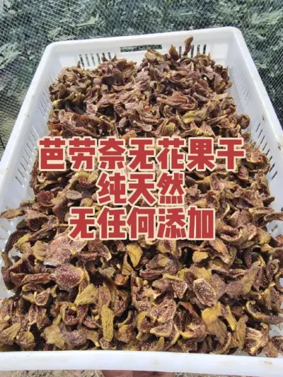 #�����޻���ݪֲרҵ������ #�����и��óԵ��޻�����ժ԰ #�޻�������