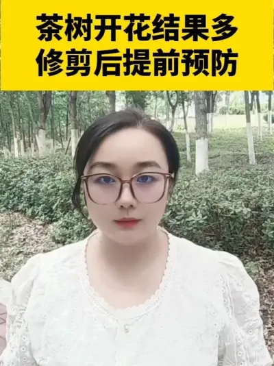 �����Ż���Ч�������޼�����ǰԤ��#���� #����ݪֲ #����ݪֲ���������